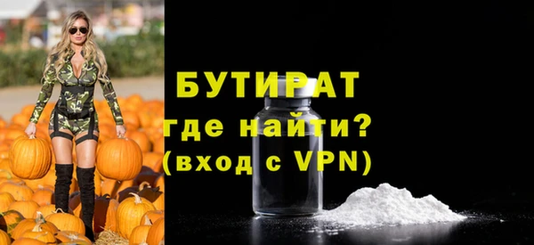 хмурый Няндома
