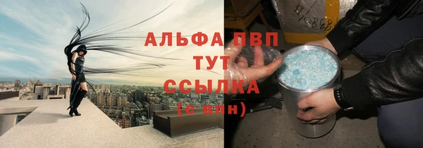 хмурый Няндома