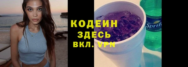 хмурый Няндома