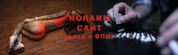 хмурый Няндома