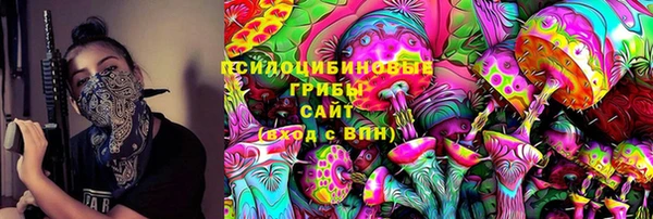 хмурый Няндома