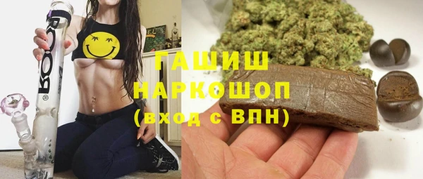 хмурый Няндома