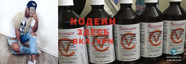 хмурый Няндома